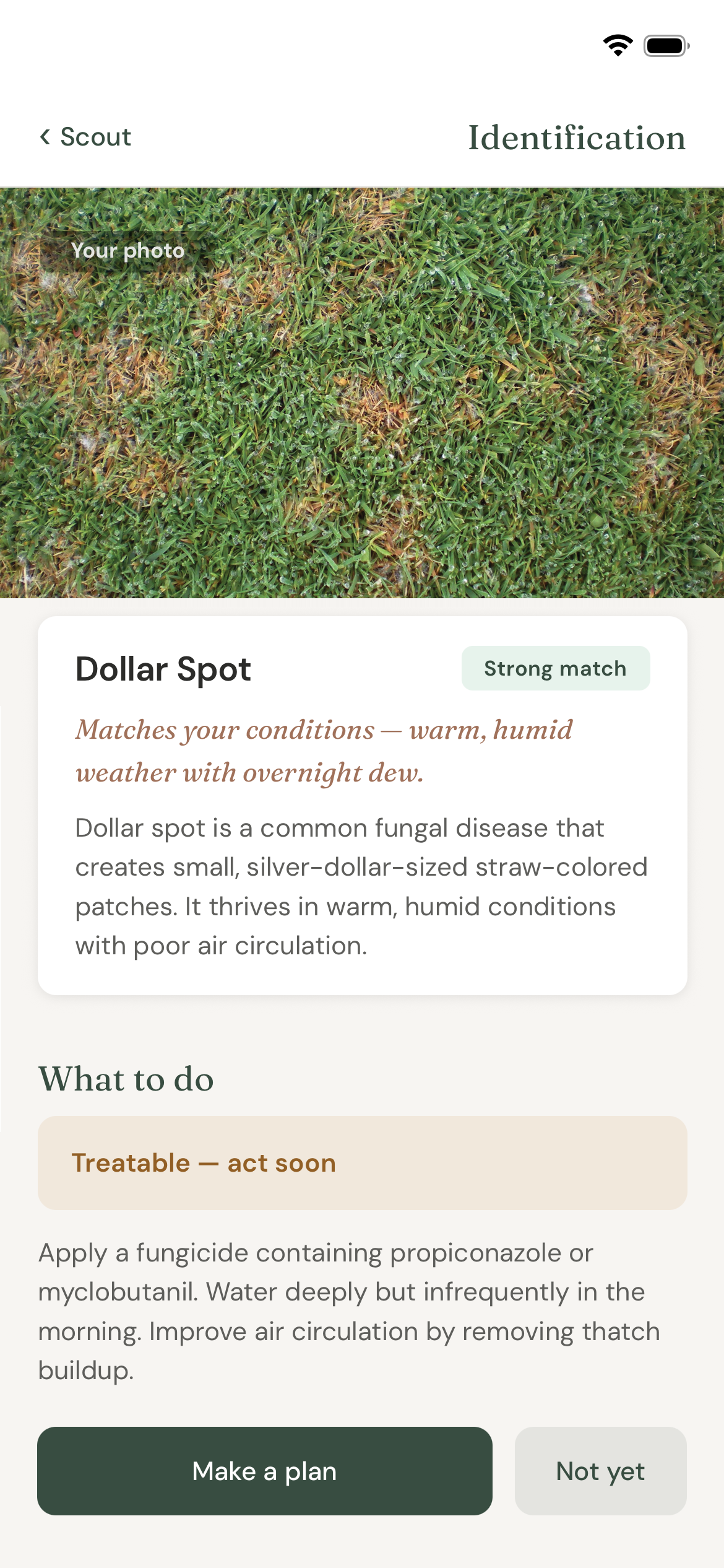 Turf scout diagnosis
